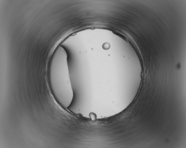 X0000116041243200912111432