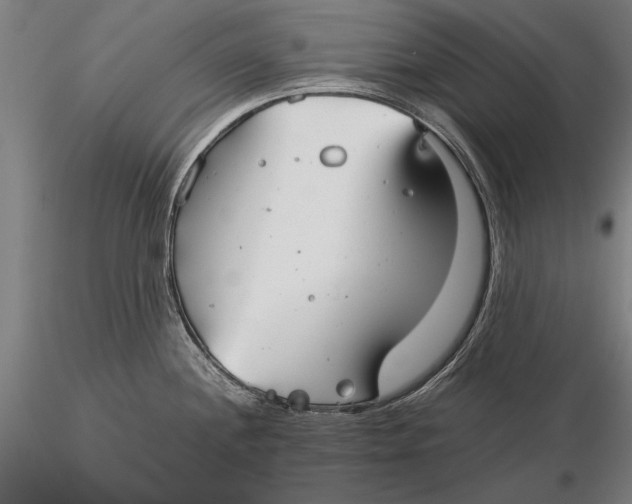 X0000116041244200912111432