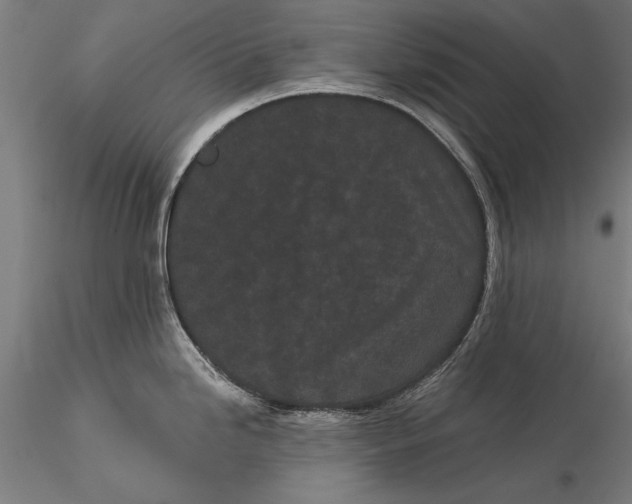 X0000116041246200912111432