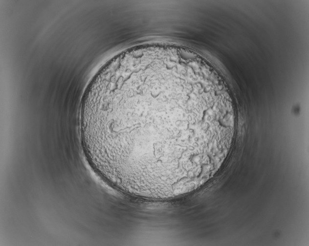 X0000116041247200912111432