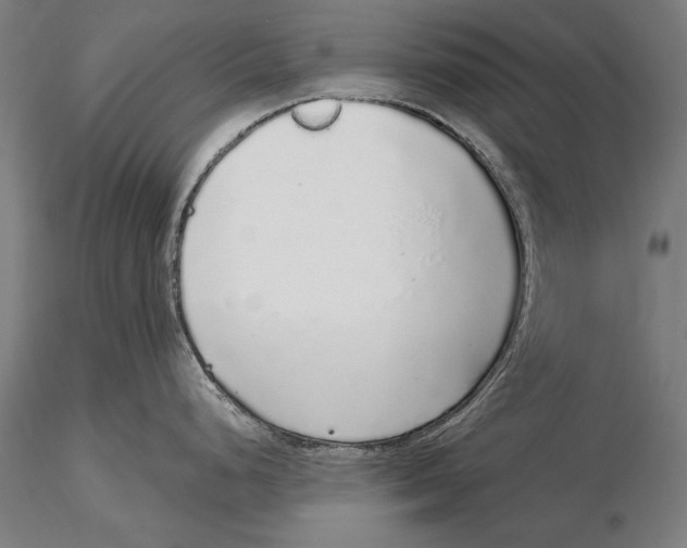 X0000116041248200912111432