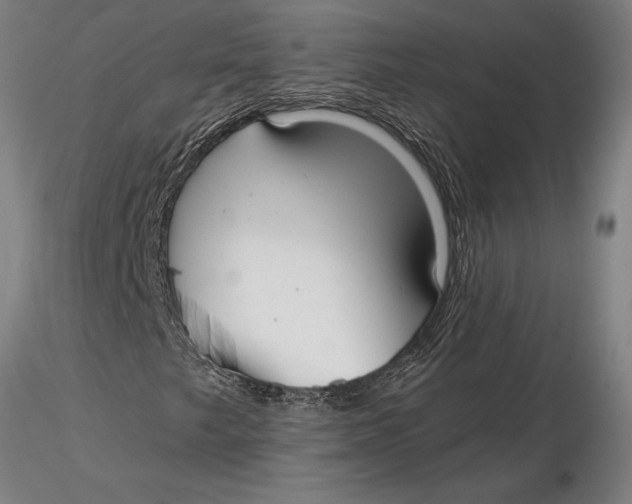 X0000116041249200912111431