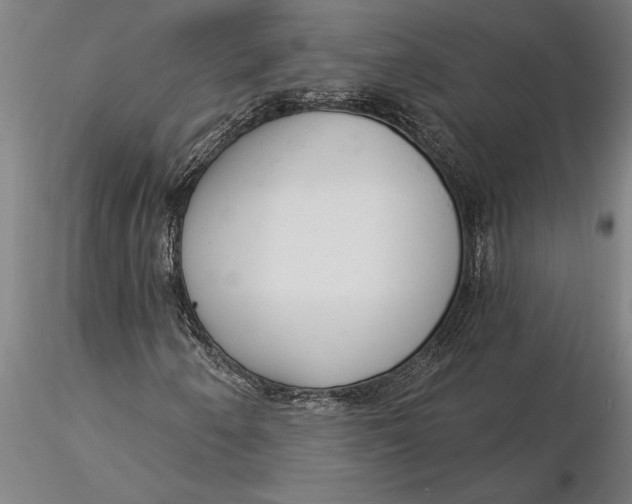 X0000116041250200912111431