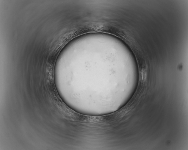 X0000116041251200912111431