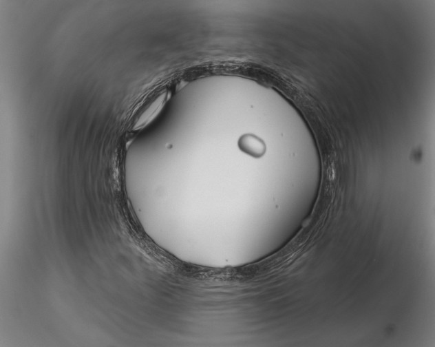 X0000116041252200912111431