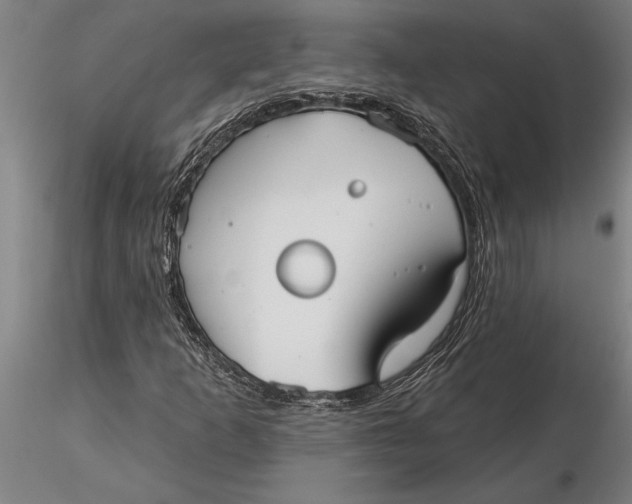 X0000116041253200912111431