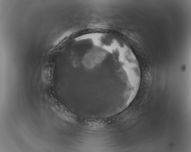 X0000116041254200912111431