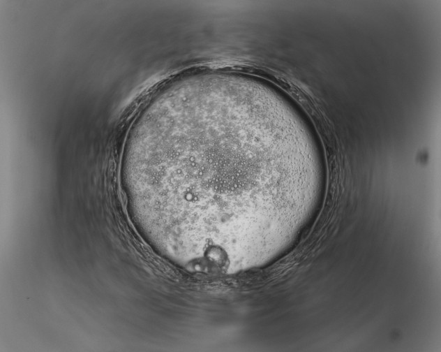 X0000116041255200912111431