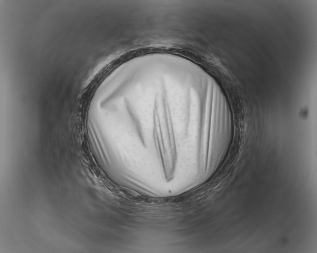 X0000116041256200912111431