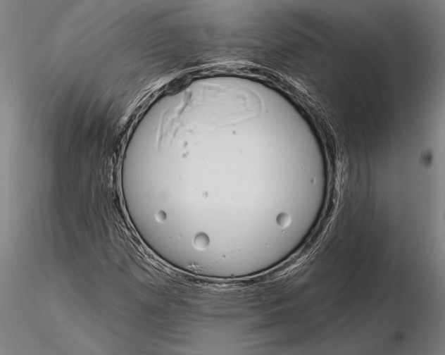 X0000116041257200912111431