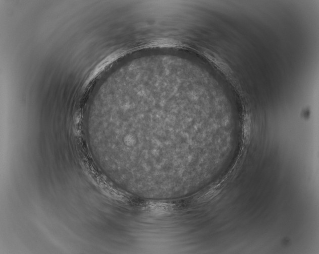 X0000116041258200912111431