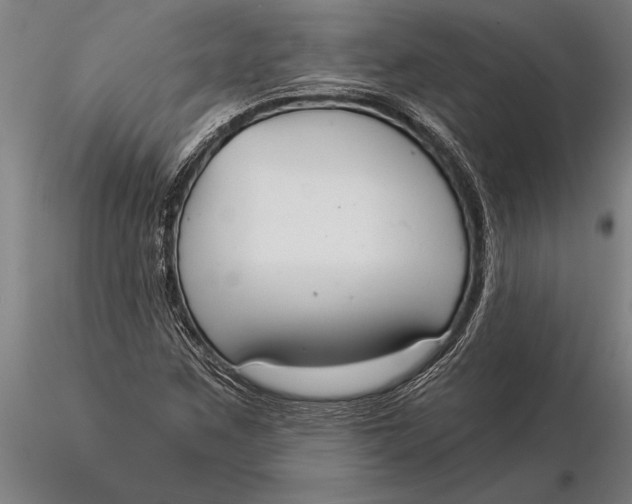 X0000116041259200912111431