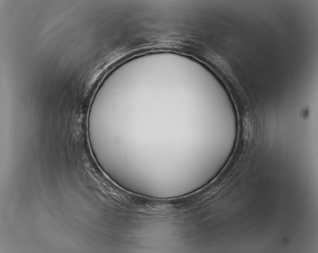 X0000116041260200912111431