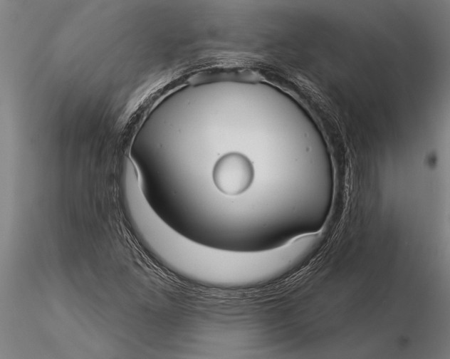 X0000116041261200912111431