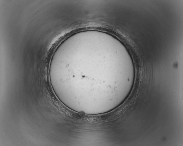 X0000116041262200912111431