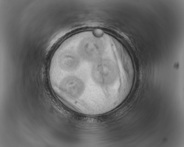 X0000116041263200912111431