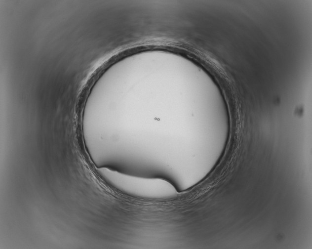 X0000116041264200912111431