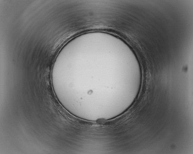 X0000116041265200912111431