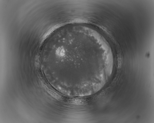 X0000116041266200912111431