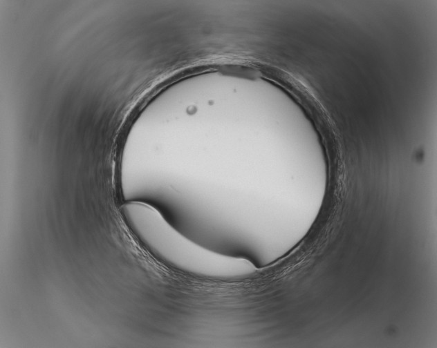 X0000116041268200912111431