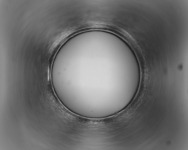 X0000116041269200912111431