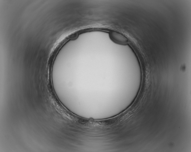 X0000116041270200912111431