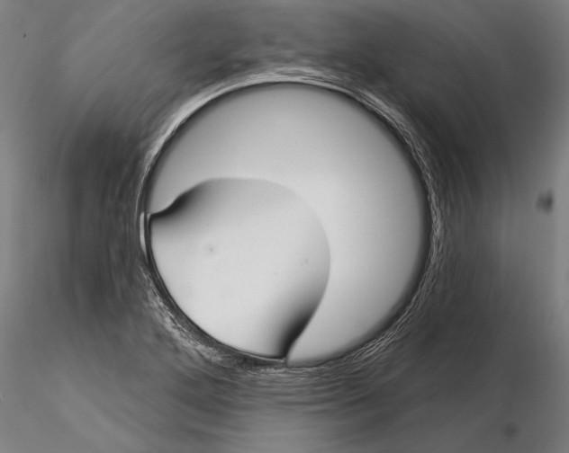 X0000116041272200912111431