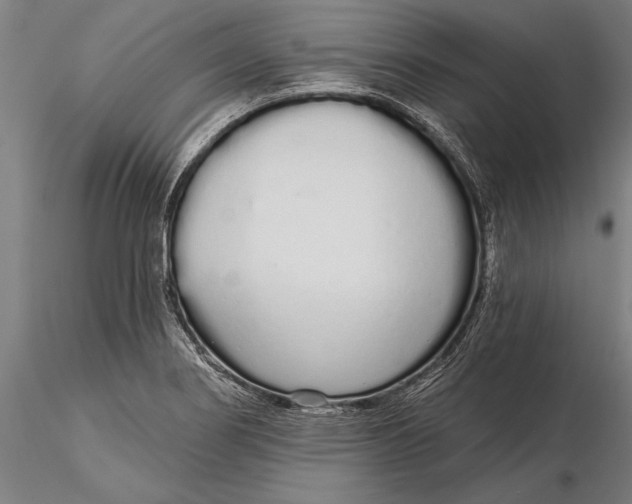 X0000116041274200912111431