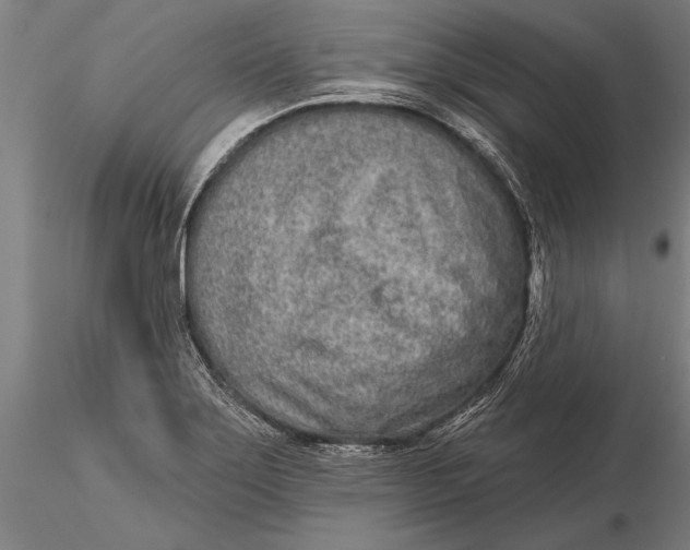 X0000116041275200912111431