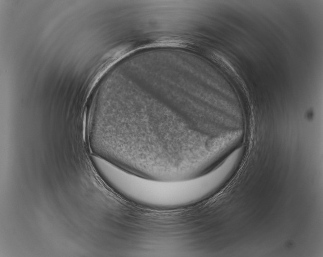 X0000116041276200912111431