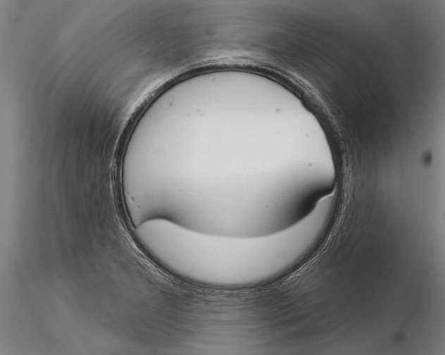 X0000116041277200912111431