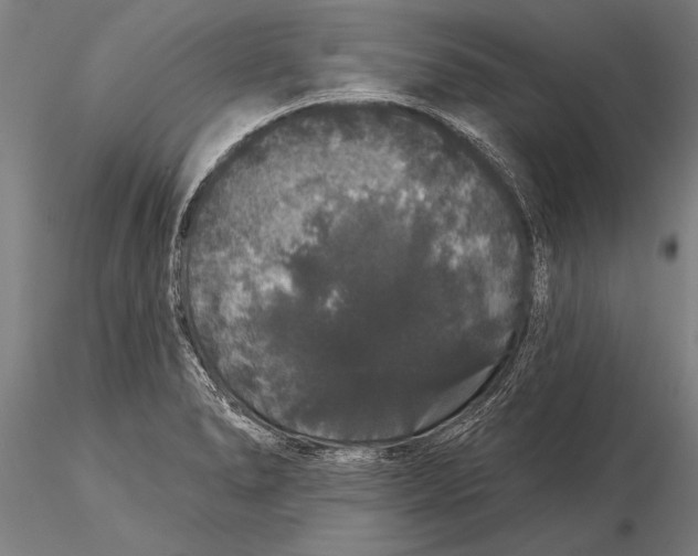 X0000116041278200912111431