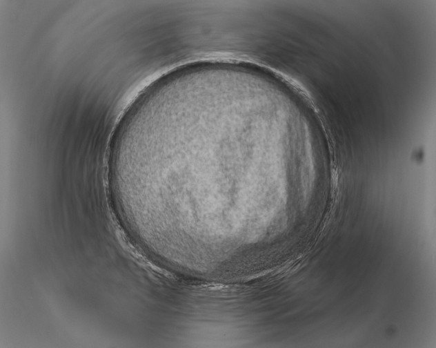 X0000116041279200912111431