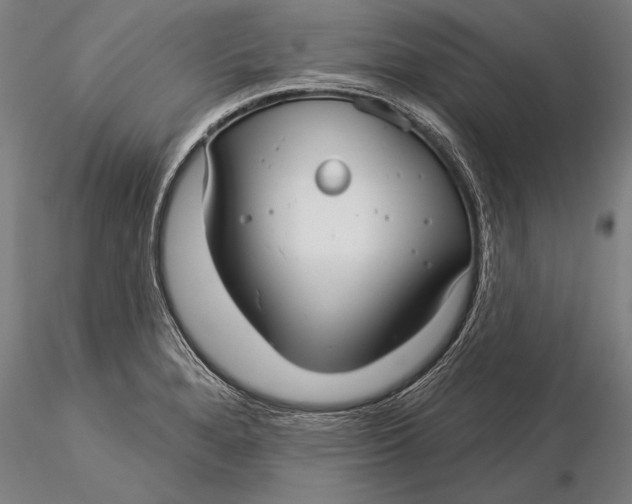 X0000116041280200912111431