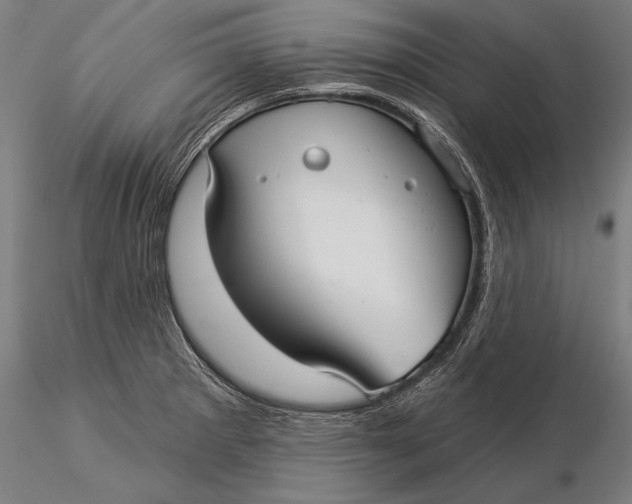 X0000116041281200912111431