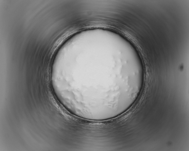 X0000116041282200912111431