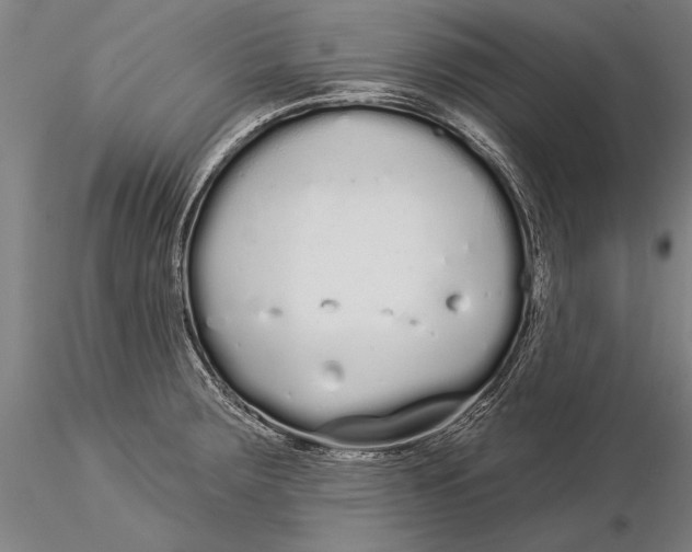 X0000116041283200912111431