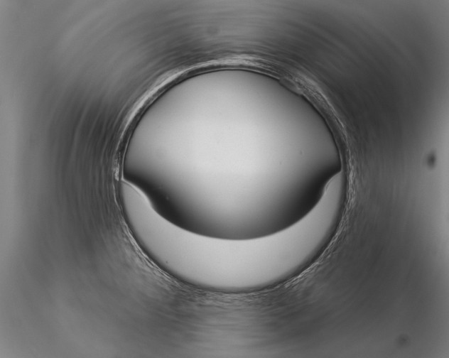 X0000116041284200912111431