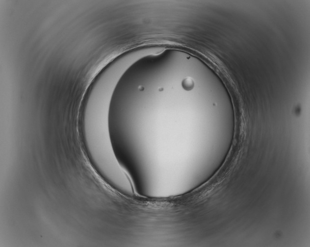 X0000116041285200912111431