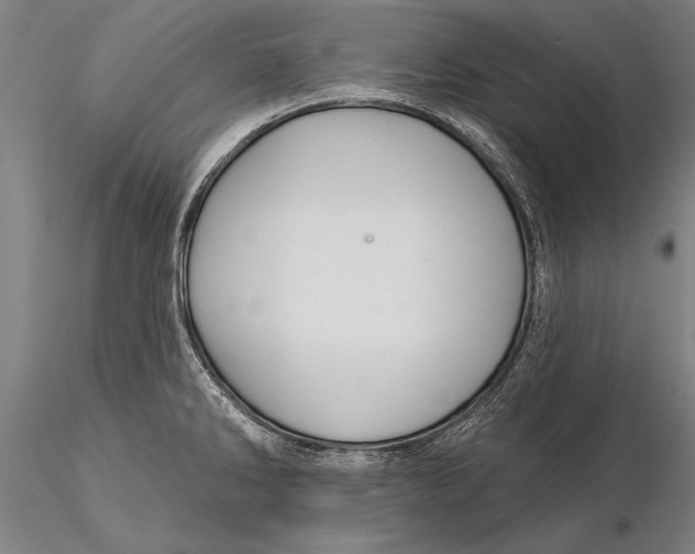 X0000116041286200912111431