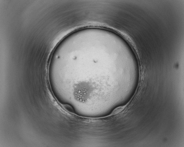 X0000116041287200912111431