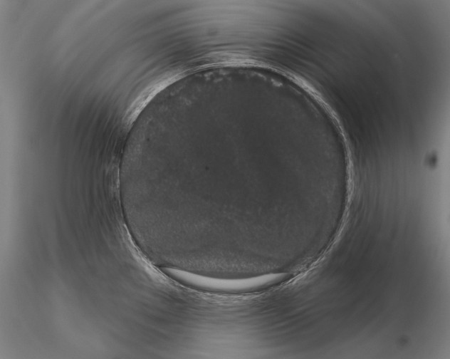 X0000116041289200912111430