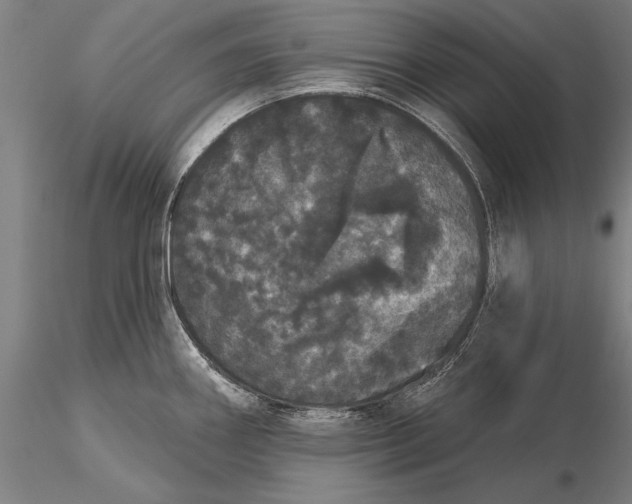 X0000116041290200912111430