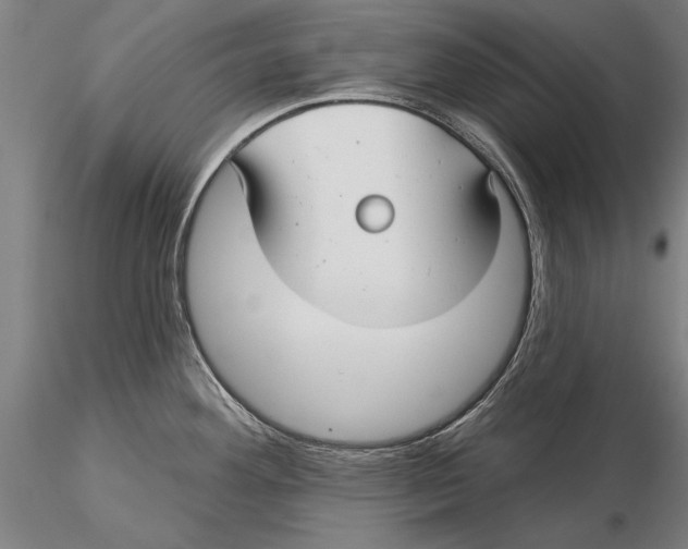 X0000116041292200912111430