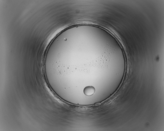 X0000116041293200912111430