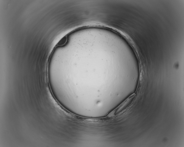 X0000116041295200912111430