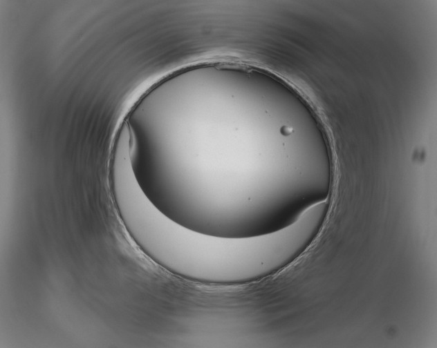 X0000116041296200912111430