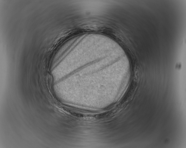 X0000116041297200912111430