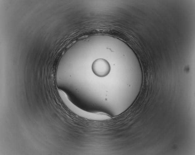 X0000116041298200912111430