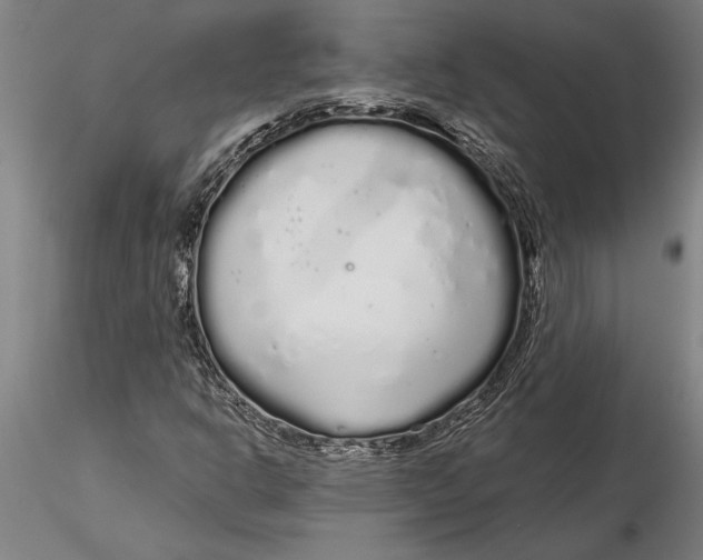 X0000116041302200912111430